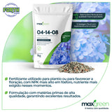 Maxgreen 04-14-08