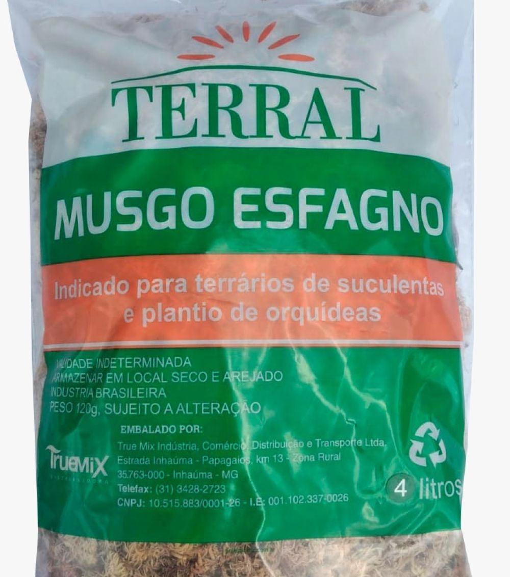 Musgo esfagno