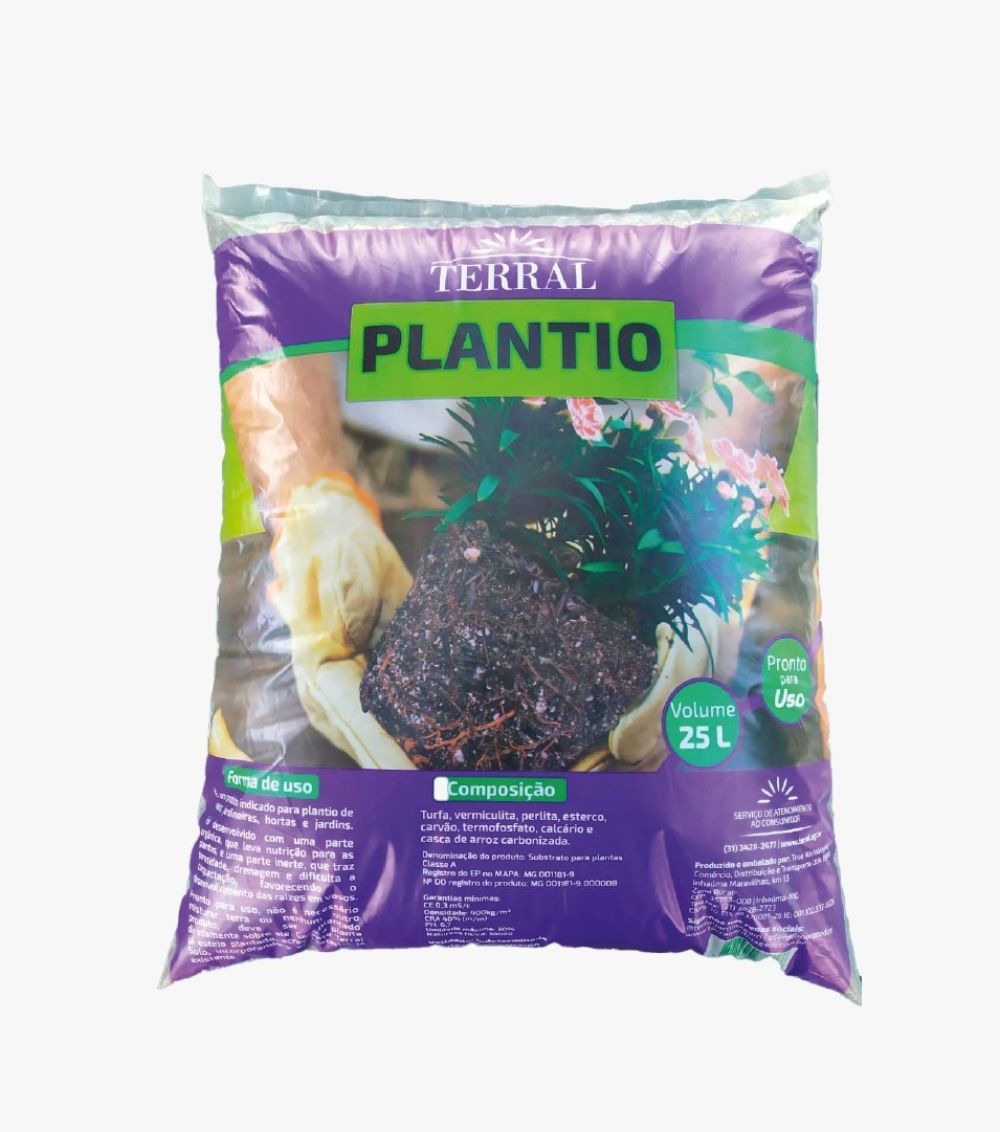 Terral plantio