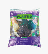 Terral plantio