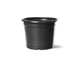Vaso Holambra PT 11