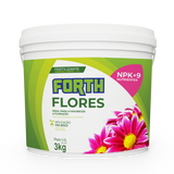 Forth flores