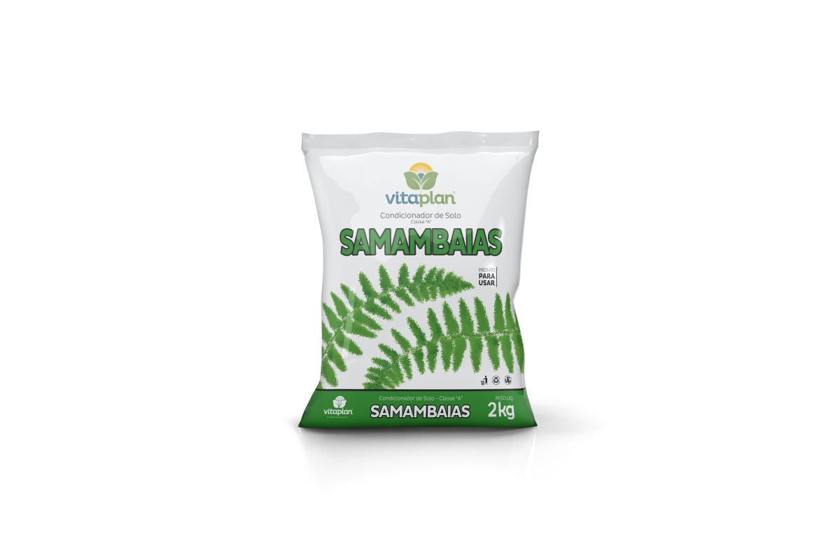 Terra para Samambaias