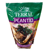 Terral plantio