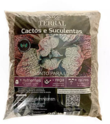 Terral suculenta pro