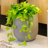 Vaso cilindrico liso 33