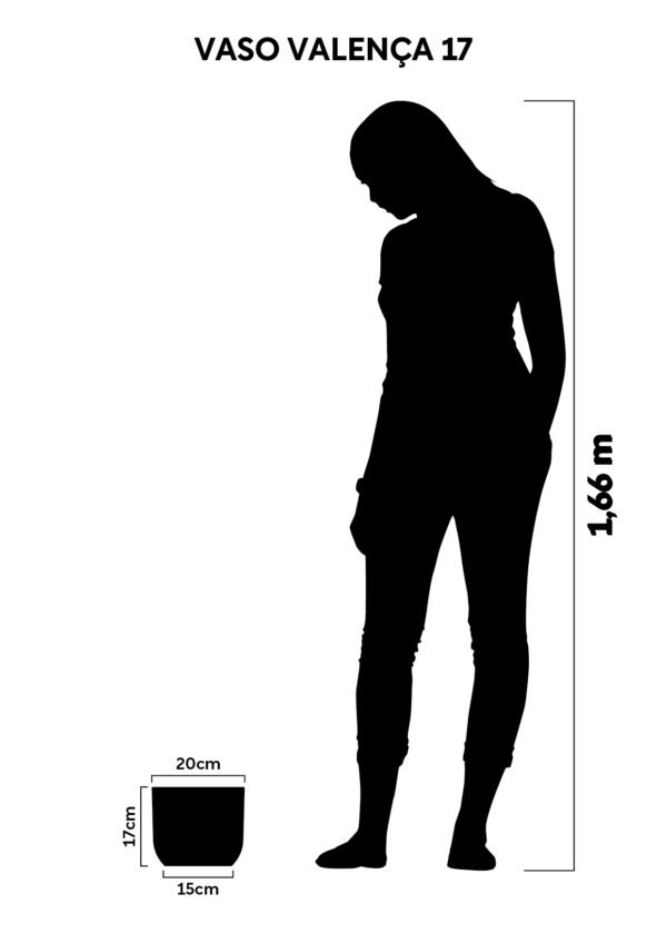 Vaso Valença 17