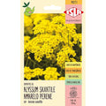 Alyssum Saxatile Amarelo Perene