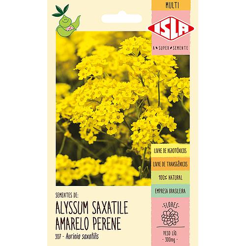 Alyssum Saxatile Amarelo Perene