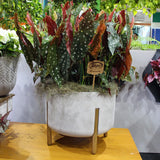 Vaso cilindrico decore 44