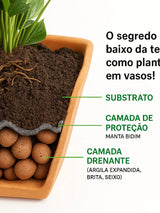 Argila Expandida 50 Litros