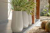 Vaso Ilhabela 40