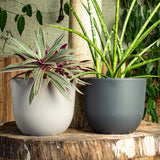 Vaso Concept Redondo N 2