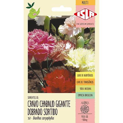 Cravo Chabaud Gigante Dobrado Sortido