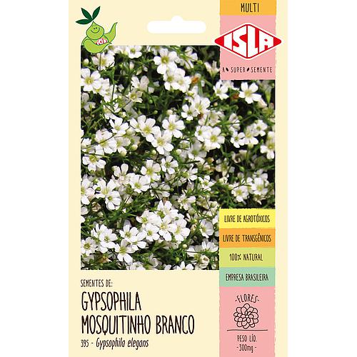 Gipsofila Mosquitinho Branco