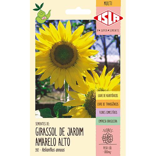Girassol (de Jardim Amarelo Alto) Zebulon