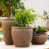 Vaso antique 56