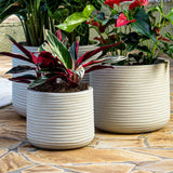 Vaso Lagoon 33