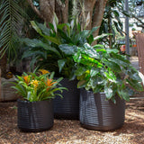 Vaso Lagoon 55