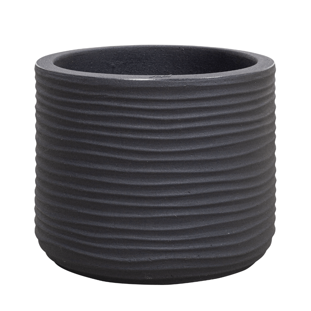 Vaso Lagoon 55
