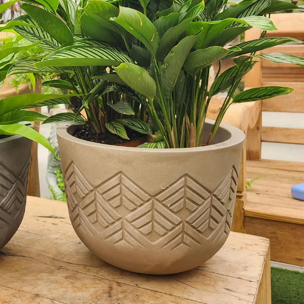 Vaso Tribo Redondo 52