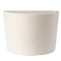 Vaso Noronha