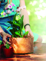 Vaso Redondo Nutricoco 01