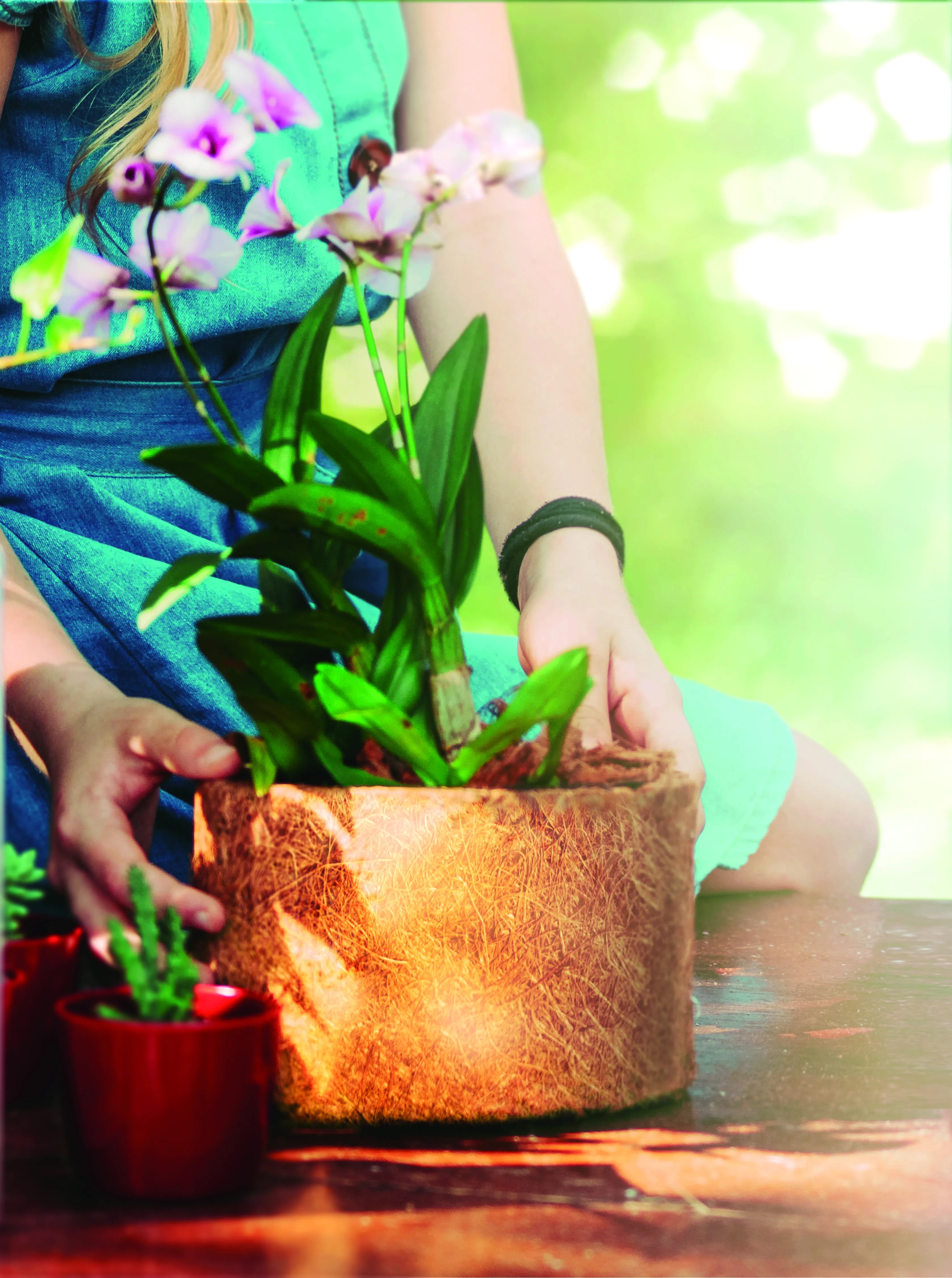 Vaso Redondo Nutricoco 05