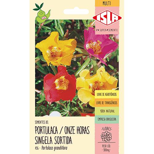 Portulaca Onze Horas Singela Sortida