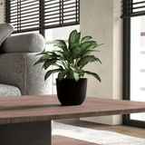 Vaso Concept redondo N 1
