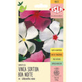 Vinca Sortida Boa Noite