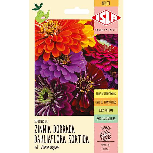 Zinia Dobrada Dahliaflora Sortida