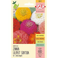Zinia Liliput Sortida