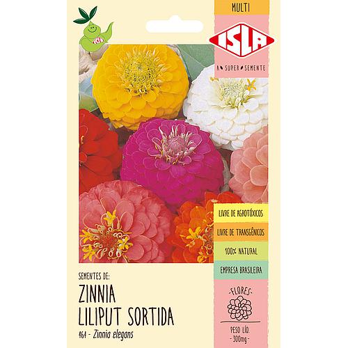 Zinia Liliput Sortida